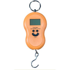 Кантер (дисплей ЖК 32х18 мм, 2*AAA) 50 кг /603L