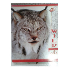 Зошит А5 клітинка (96 арк.), ТВ-17