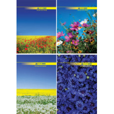 Зошит, A4 клітинка, (96арк), "NATURE" BM.2400