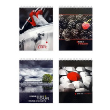 Блокнот, А5 клітинка, (100арк), 102022/1, спіраль зверху