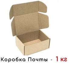 Коробка картонная (240мм × 170 × 100/1кг)